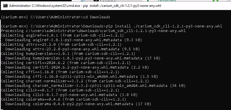 pip command to install Carium wheel